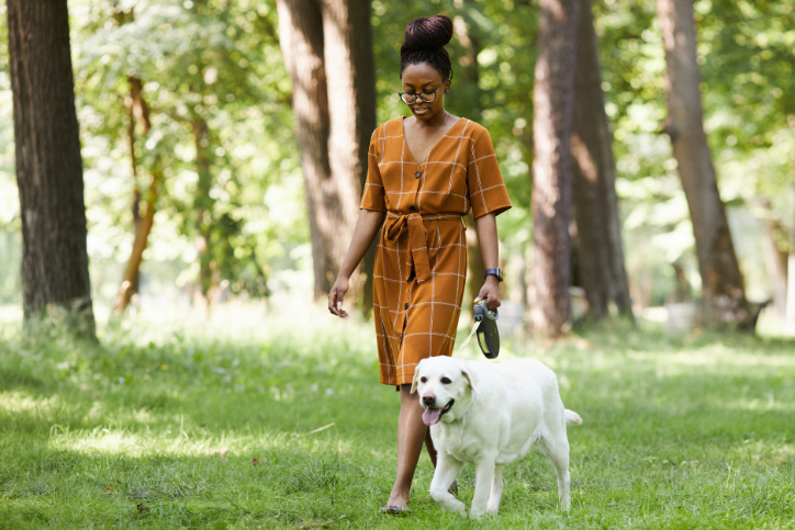 House sitter taking dog for walk